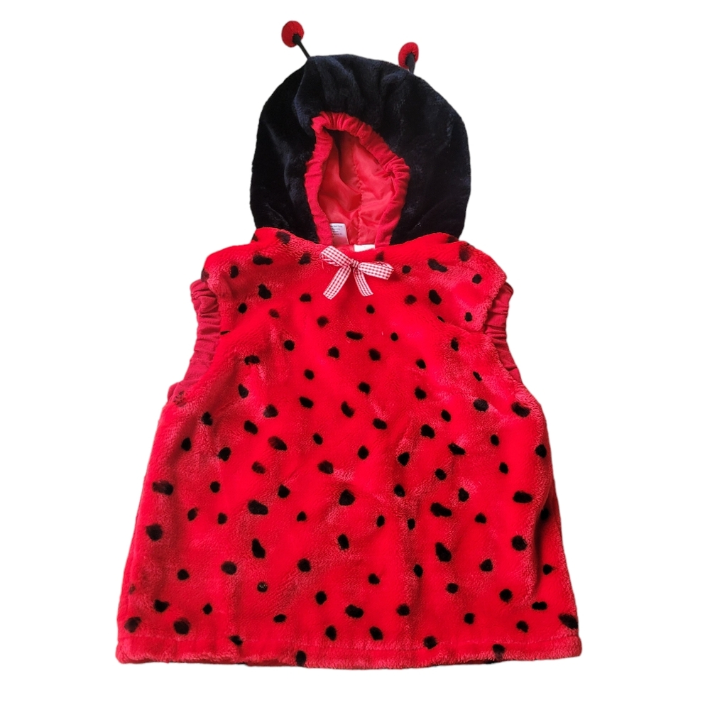 Celebration Costumes Plush Ladybug Costume